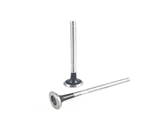 VALVULAS DE ADMISION Y ESCAPE PEUGEOT 206/207/307/308/PARTNER / CITROEN C3/C4/XSARA/BERLINGO 1.6 16V TU5JP4 ESCAPE - PACK X8