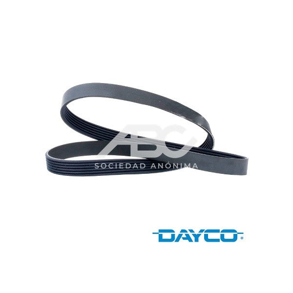 CORREAS POLY-V VW AMAROK V6 / ISUZU NPR 5.7 V8 98-03 CORREA POLY V_