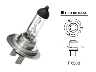LAMPARAS DE LIVIANOS HALOGENAS LAMPARA ALTA Y BAJA/ANTINIEBLA DELANTERO - 12V 55W PX26D - PACK X10