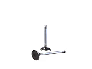 VALVULAS DE ADMISION Y ESCAPE FIAT PALIO/SIENA/UNO/PUNTO 1.0 8V 156A2000-2246-3000-3100-1.3 8V 176A7000-8000/176B1000 ADMISION_