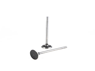 VALVULAS DE ADMISION Y ESCAPE RENAULT MEGANE II/SCENIC/LAGUNA/KOLEOS 2.0 16 V F4R ESCAPE_