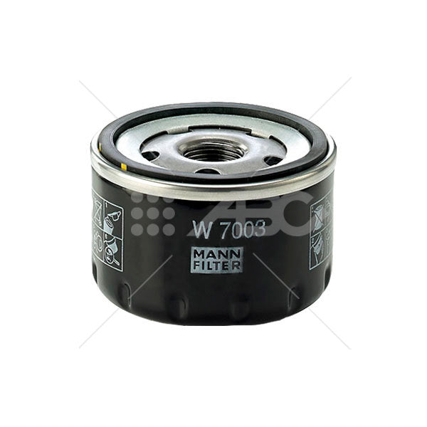 COMBO MANN FIAT ARGO/CRONOS 1.3 8V SP 1 1118-4 KMANNFIAT-1