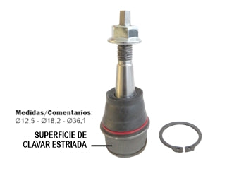 ROTULAS DE SUSPENSION CHEVROLET CRUZE 17/.. DEL.INF. 36MM - PIVOTE 12.5MM-18.2MM CON RANURA Y SEGURO ABJO TOPE ARRIBA_