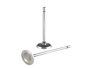 VALVULAS DE ADMISION Y ESCAPE RENAULT MEGANE II/SCENIC/LAGUNA/KOLEOS 2.0 16 V F4R ADMISION_