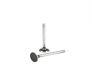 VALVULAS DE ADMISION Y ESCAPE FIAT PALIO/SIENA/UNO/PUNTO 1.0 8V 156A2000-2246-3000-3100-1.3 8V 176A7000-8000/176B1000 ESCAPE_