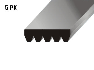 CORREAS POLY-V FIAT SIENA/PALIO 06/.. 1.4 FIRE_