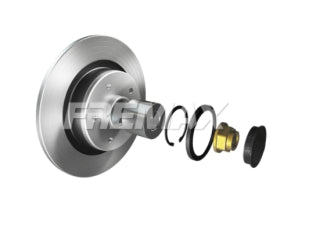 DISCOS DE FRENOS LIVIANOS RENAULT LAGUNA II 3.0 V6 06-.. TRASERO SOLIDO DIAMETRO 265MM_