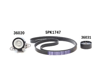 KIT ACCESORIOS TENSOR+CORREA RENAULT LOGAN/SANDERO/SYMBOL/KANGOO 1.6 8V K7M/CLIO II/MEGANE/LAGUNA/KANGOO 1.6 16V K4M_