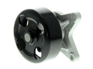 BOMBAS DE AGUA LIVIANOS RENAULT FLUENCE/MEGANE III / NISSAN TIIDA/X-TRAIL - POLEA LISA_